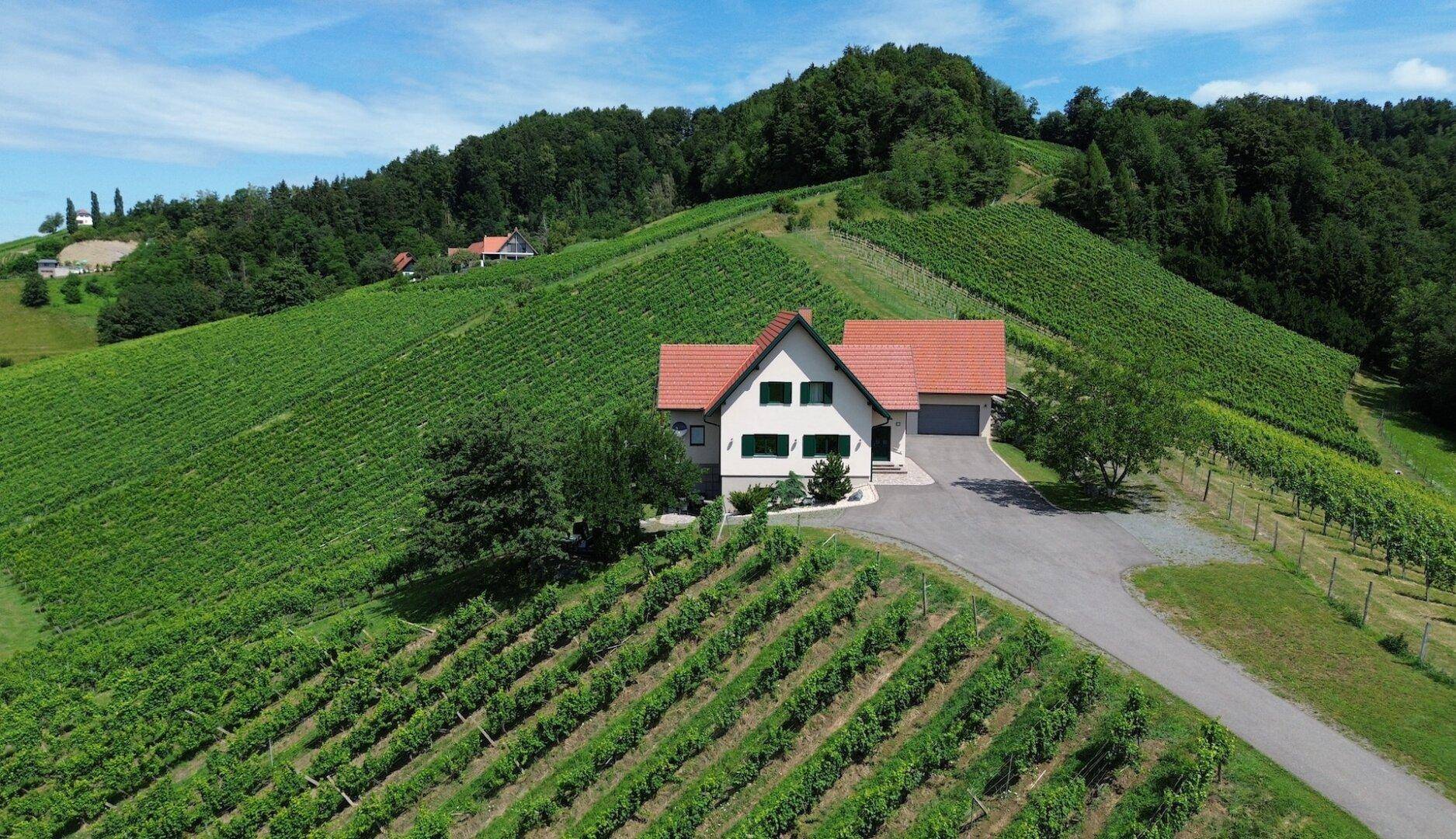 Panoramablick auf das Anwesen, umgeben von weitläufigen Weinbergen und bewaldeten Hügeln unter strahlend blauem Himmel.