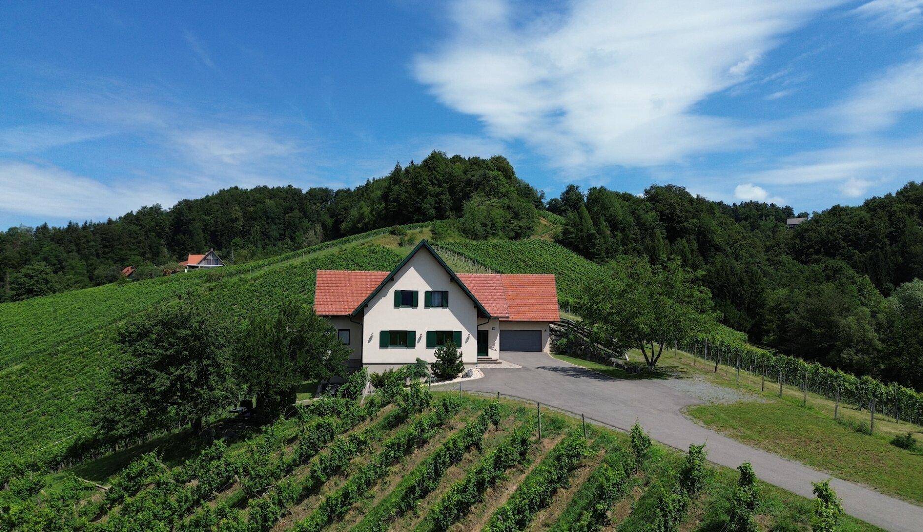 Das Haus steht prominent in der Landschaft, umgeben von gepflegten Weinreben und üppiger Natur.
