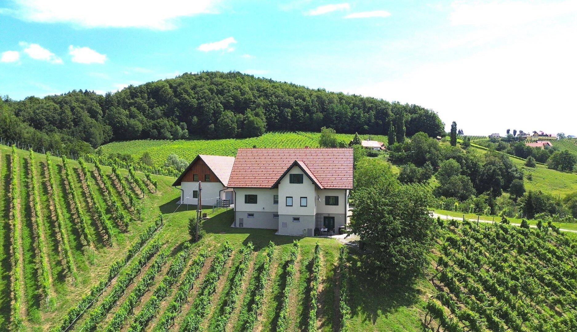 Rückansicht des Hauses mit angrenzendem Nebengebäude, eingebettet in die sanften Hänge der Weinberge.