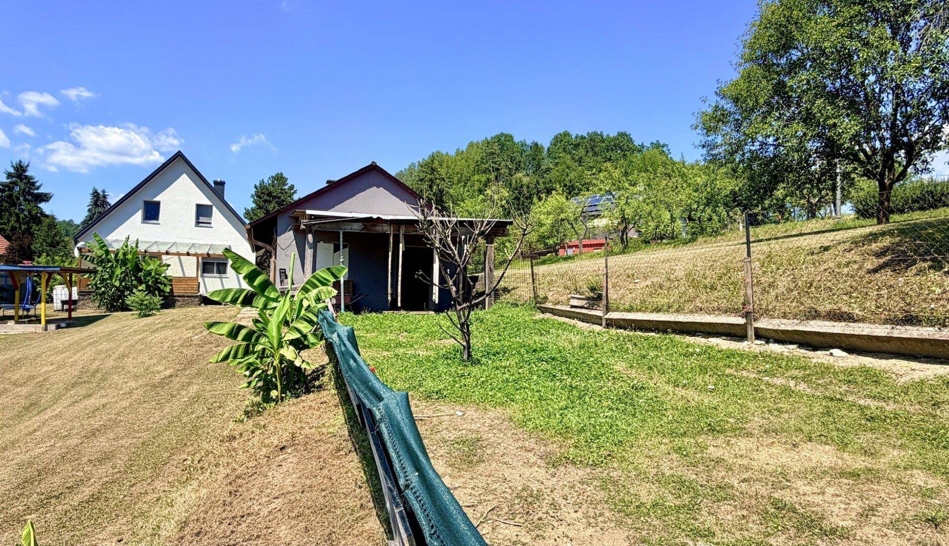 Großer Gartenbereich mit trockenem Rasen, Bananenpflanzen und Blick auf die Nachbarhäuser.