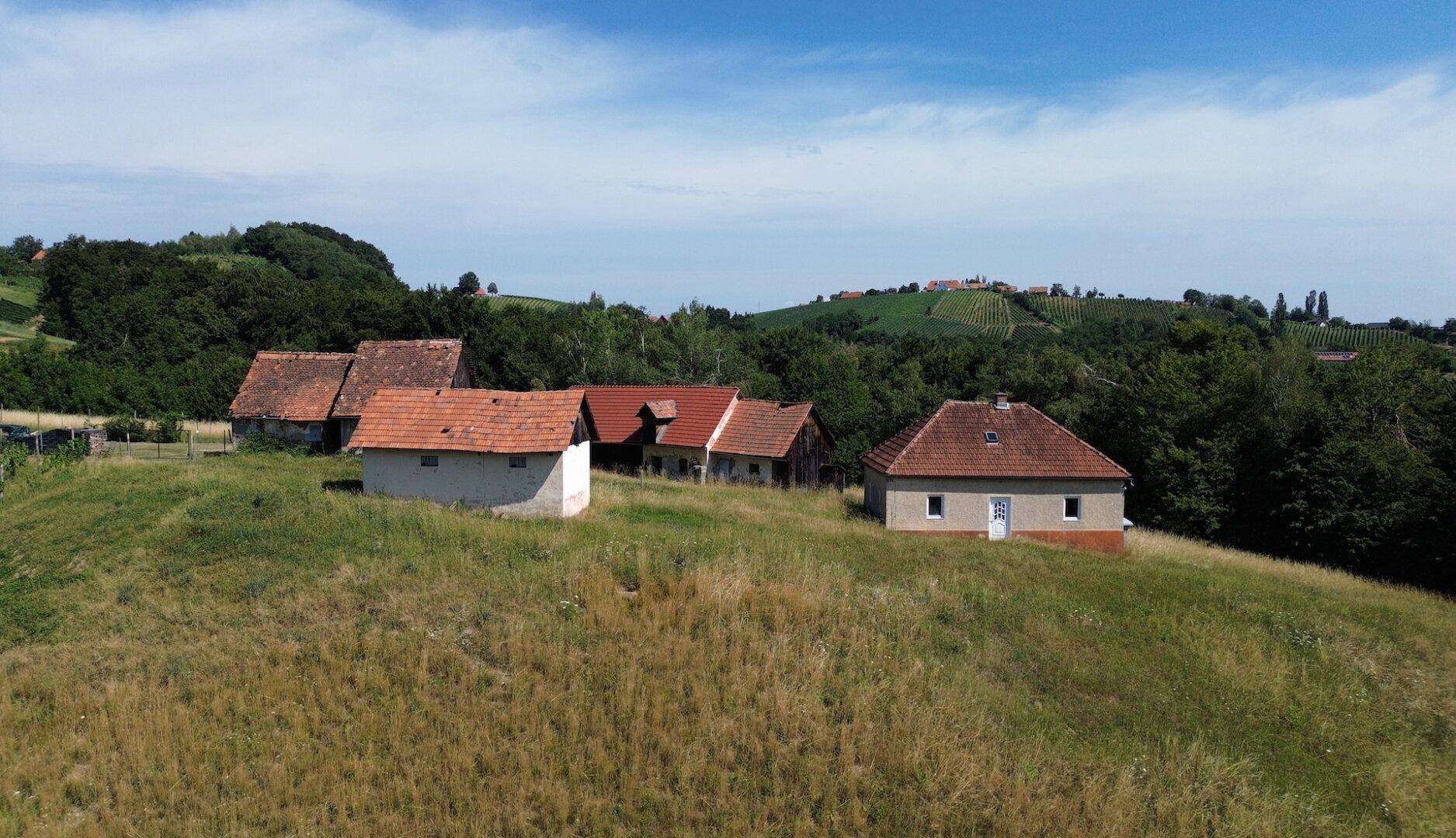 Panoramablick auf ein Ensemble alter Gebäude auf einem Hügel, umgeben von grünen Weinbergen und Wäldern.