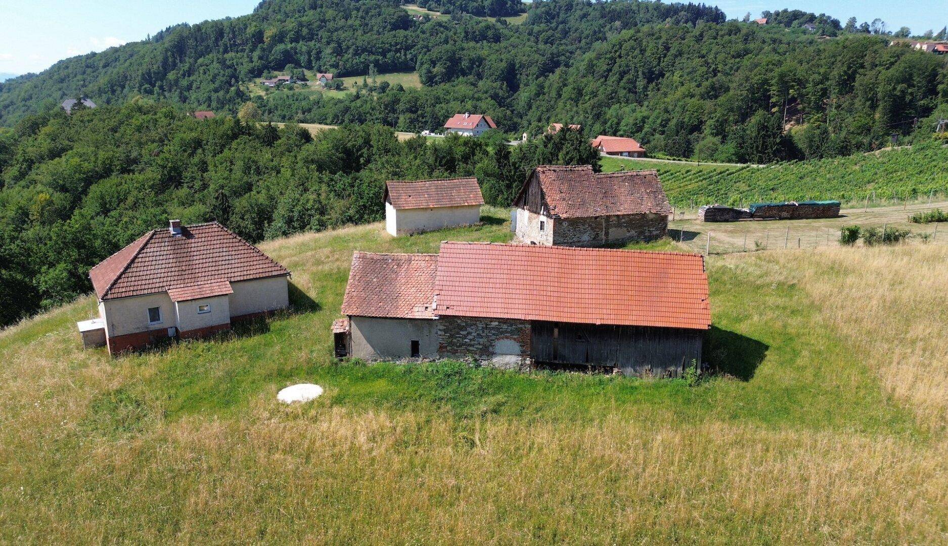 Übersicht des ländlichen Grundstücks mit verschiedenen Gebäuden und der malerischen Umgebung aus Wäldern und Weinbergen.