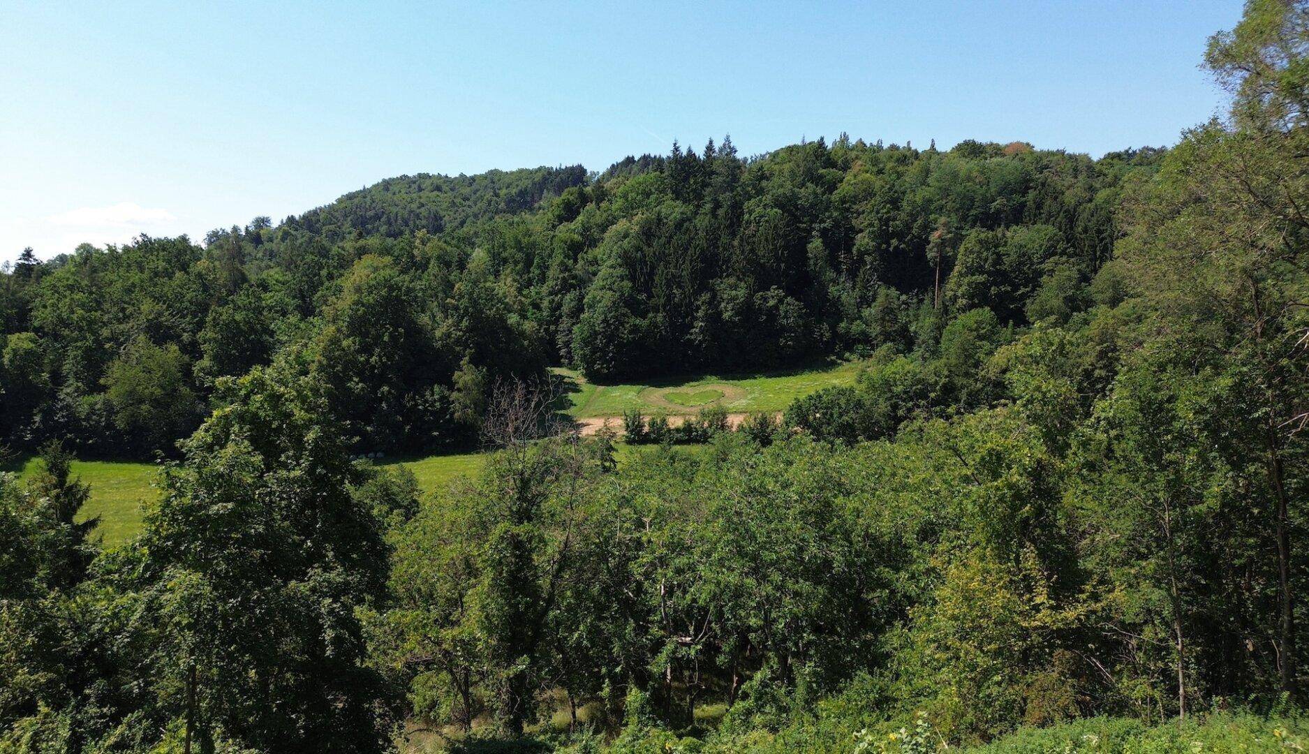 Dichte Wälder und grüne Hügel prägen die idyllische Landschaft in der Umgebung.