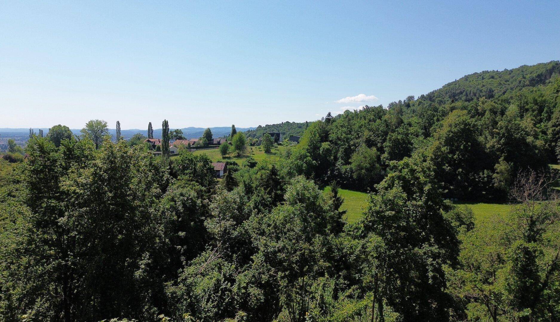 Panoramablick über eine weite, grüne Landschaft mit bewaldeten Hügeln und vereinzelten Häusern.