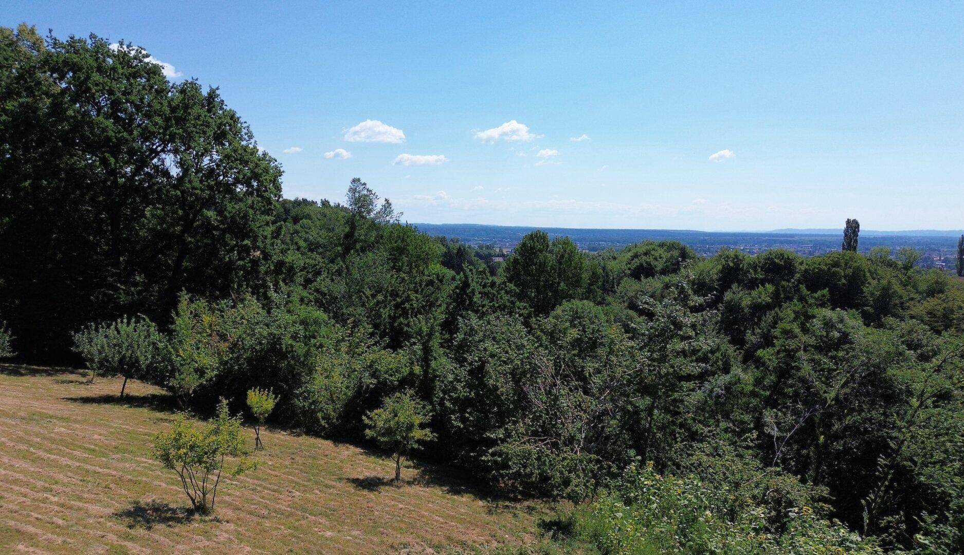Idyllischer Ausblick auf eine hügelige Landschaft mit Wäldern und Feldern unter blauem Himmel.