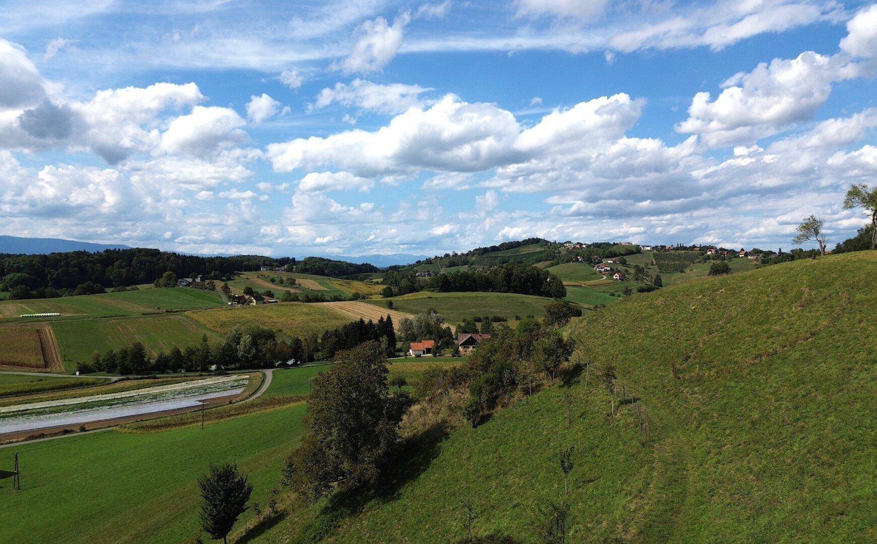 Panoramablick über eine weite, grüne Hügellandschaft mit Feldern und vereinzelten Häusern.
