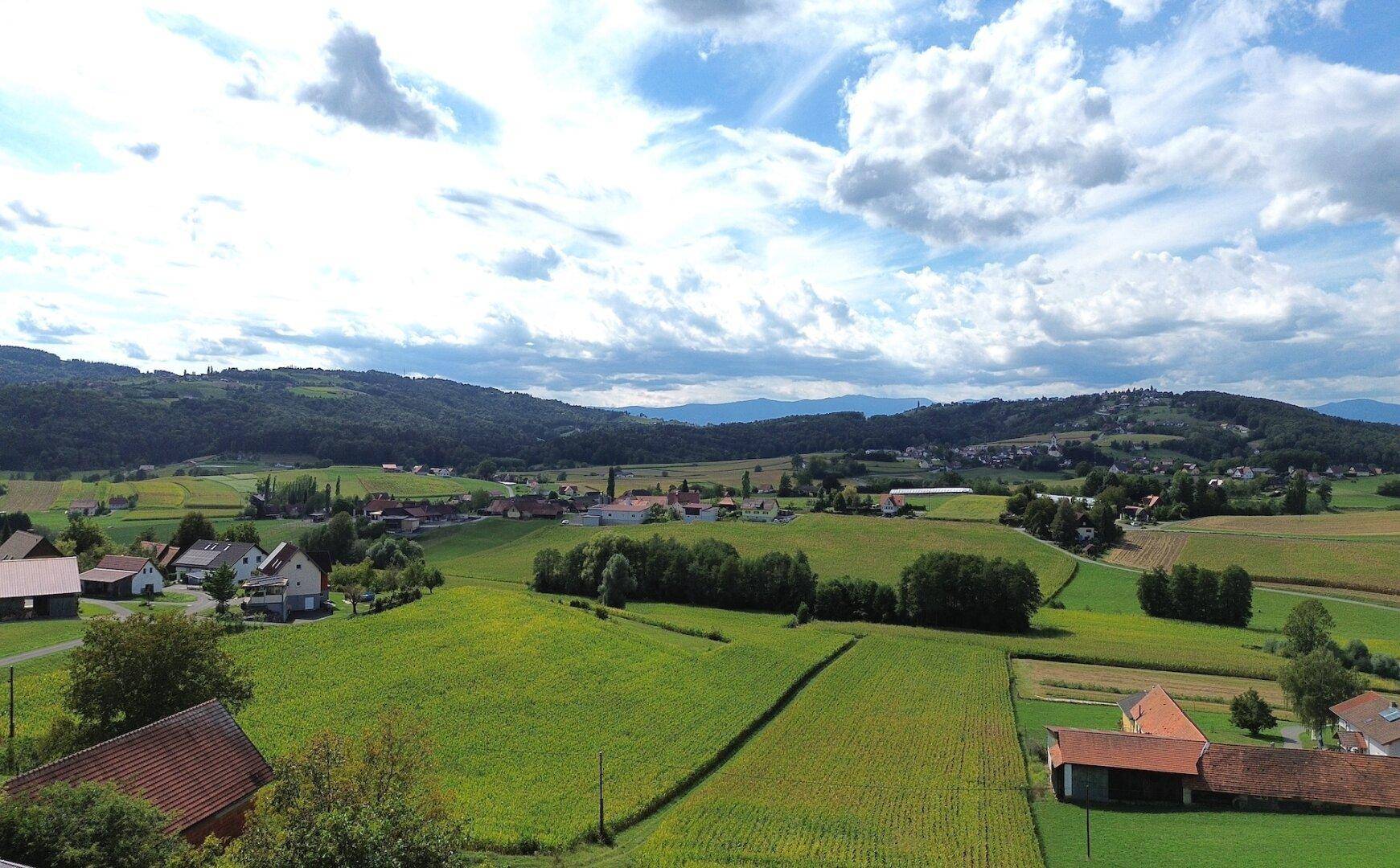 Malerische ländliche Szenerie mit grünen Wiesen, Feldern und einem kleinen Dorf in der Ferne.
