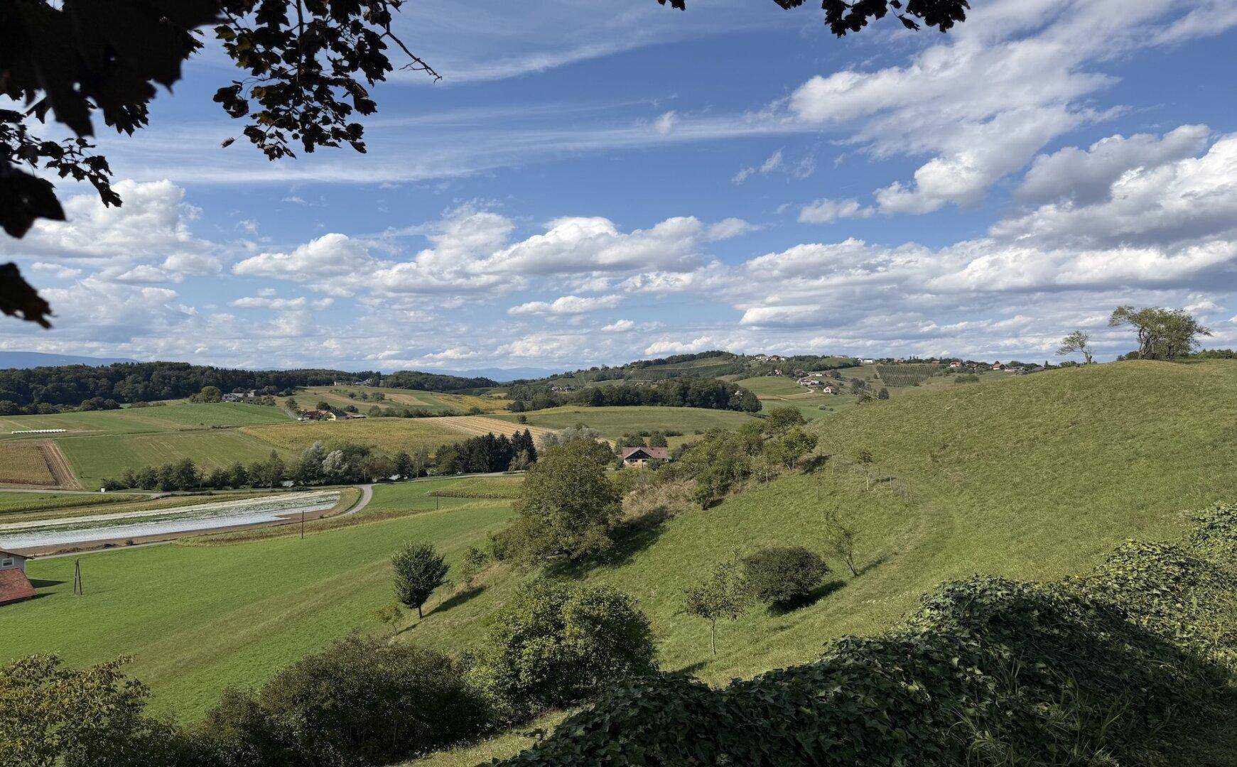 Weitläufige grüne Landschaft mit sanften Hügeln, Feldern und einem klaren blauen Himmel.