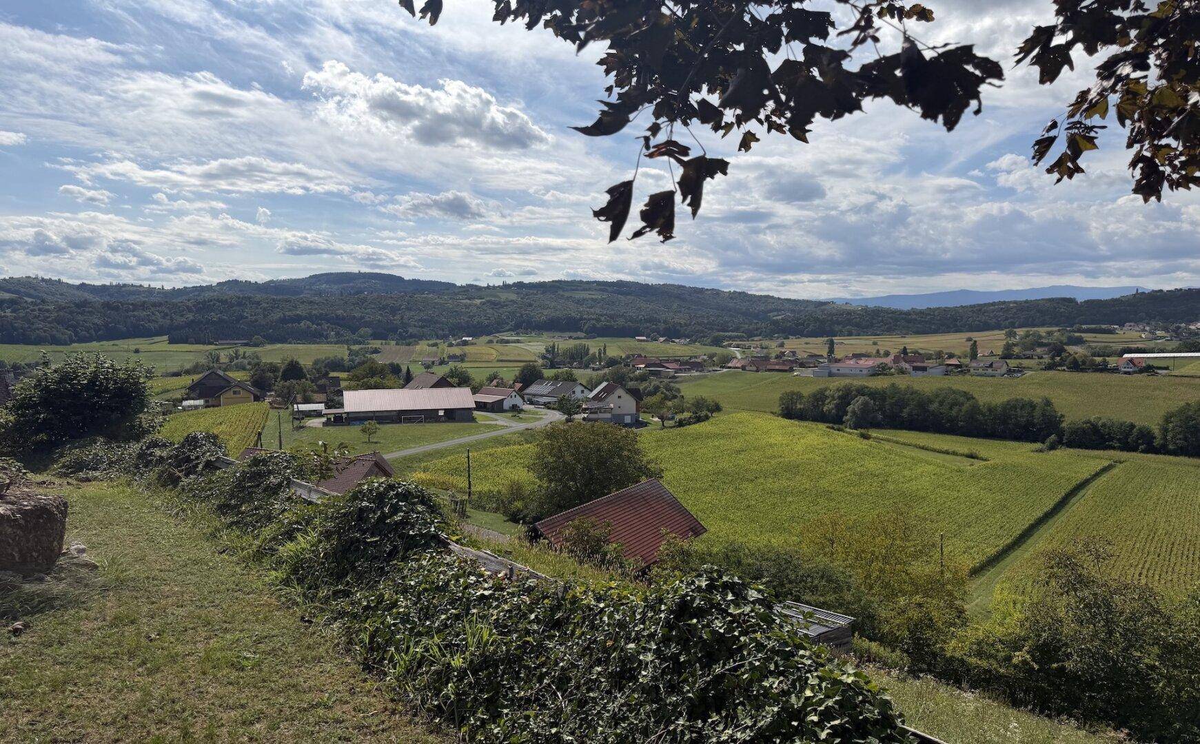 Panoramablick über eine idyllische ländliche Gegend mit grünen Feldern und kleinen Häusern.