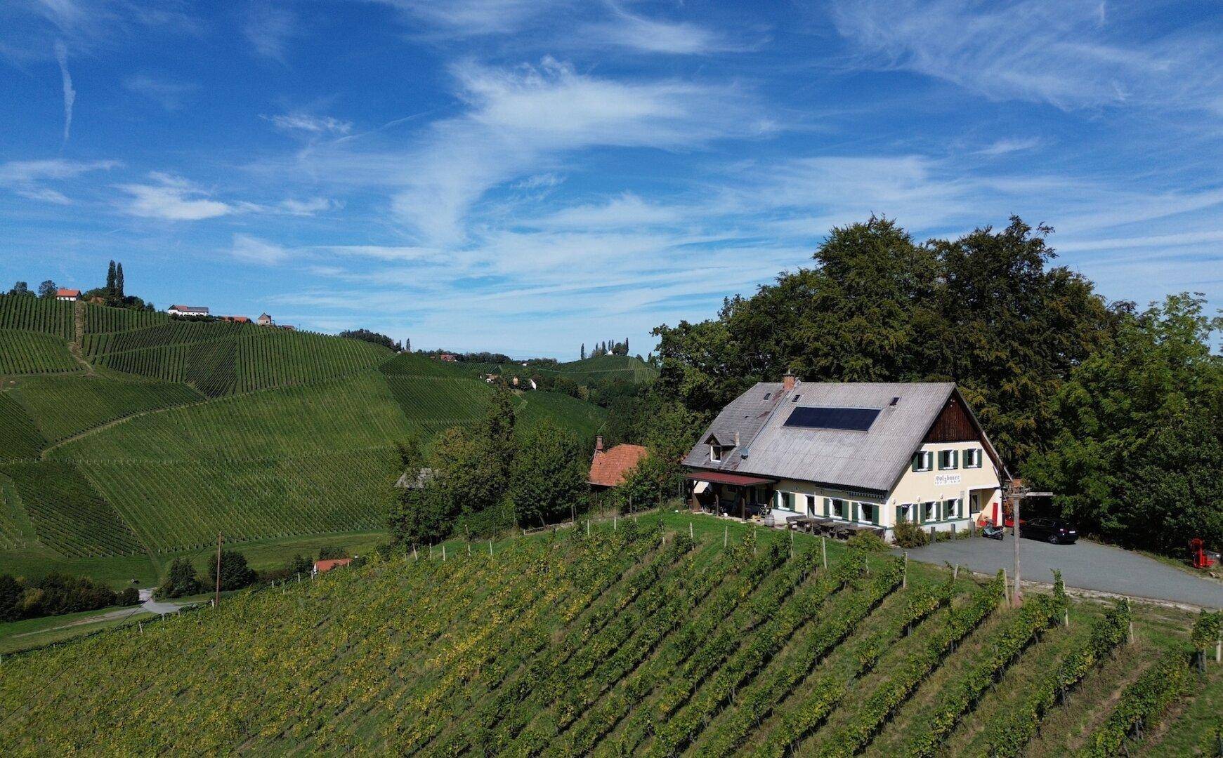 Haus mit Solaranlage auf dem Dach, umgeben von Weinbergen und Wald unter blauem Himmel.