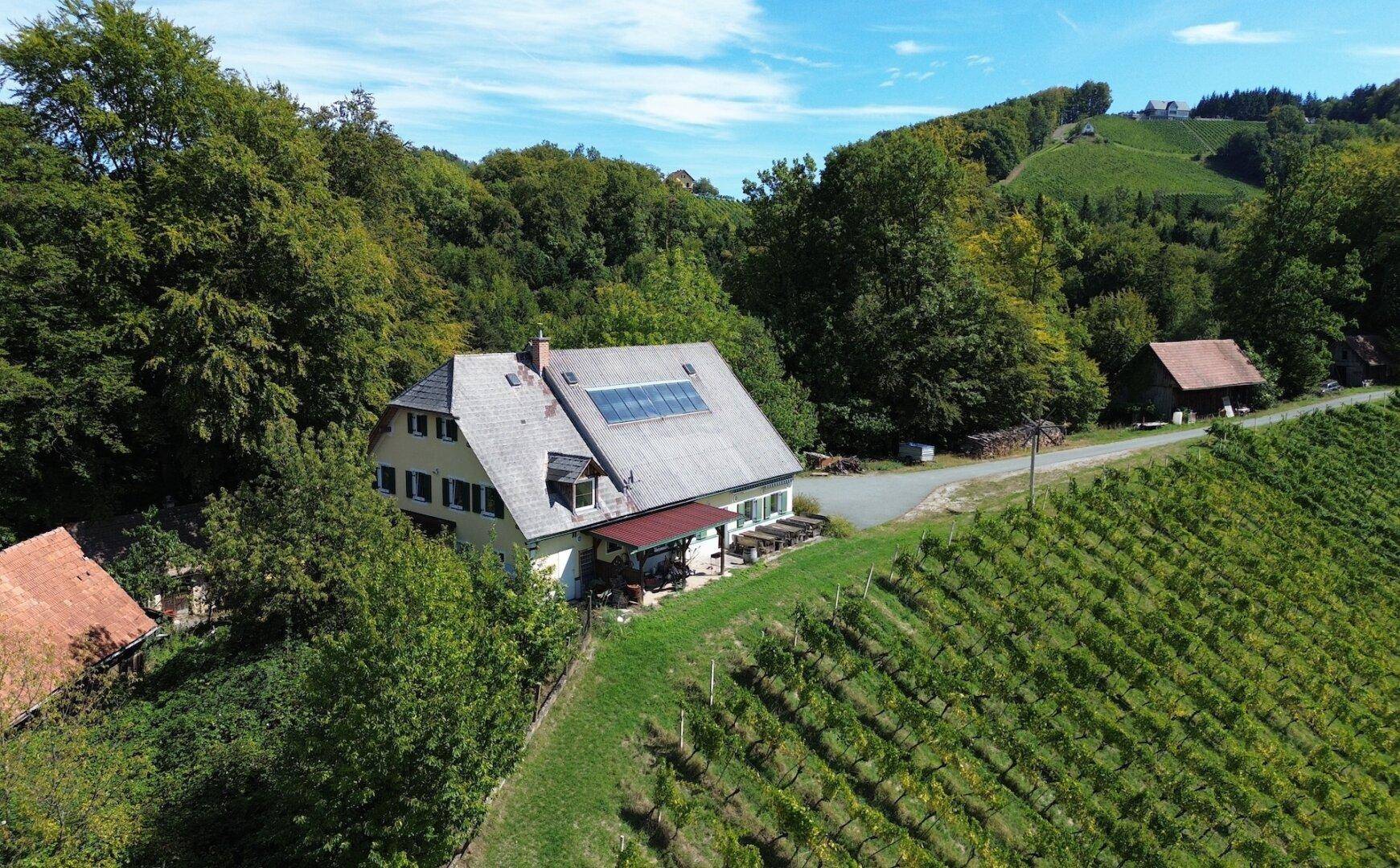 Anwesen mit Solaranlage auf dem Dach, umgeben von Weinbergen und Wald unter blauem Himmel.
