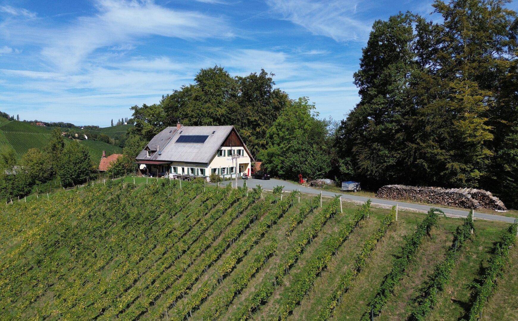 Haus mit Solaranlage und Holzstapel am Wegesrand, umgeben von Weinbergen und Wald.