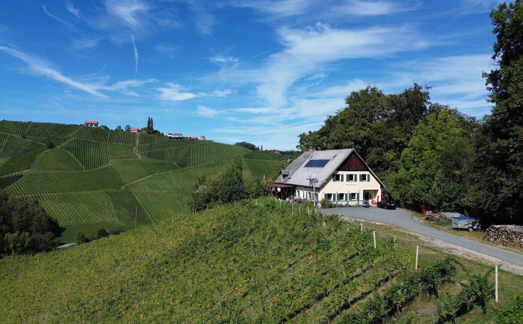 Haus mit Solaranlage auf dem Dach, umgeben von Weinbergen und Wald unter blauem Himmel.