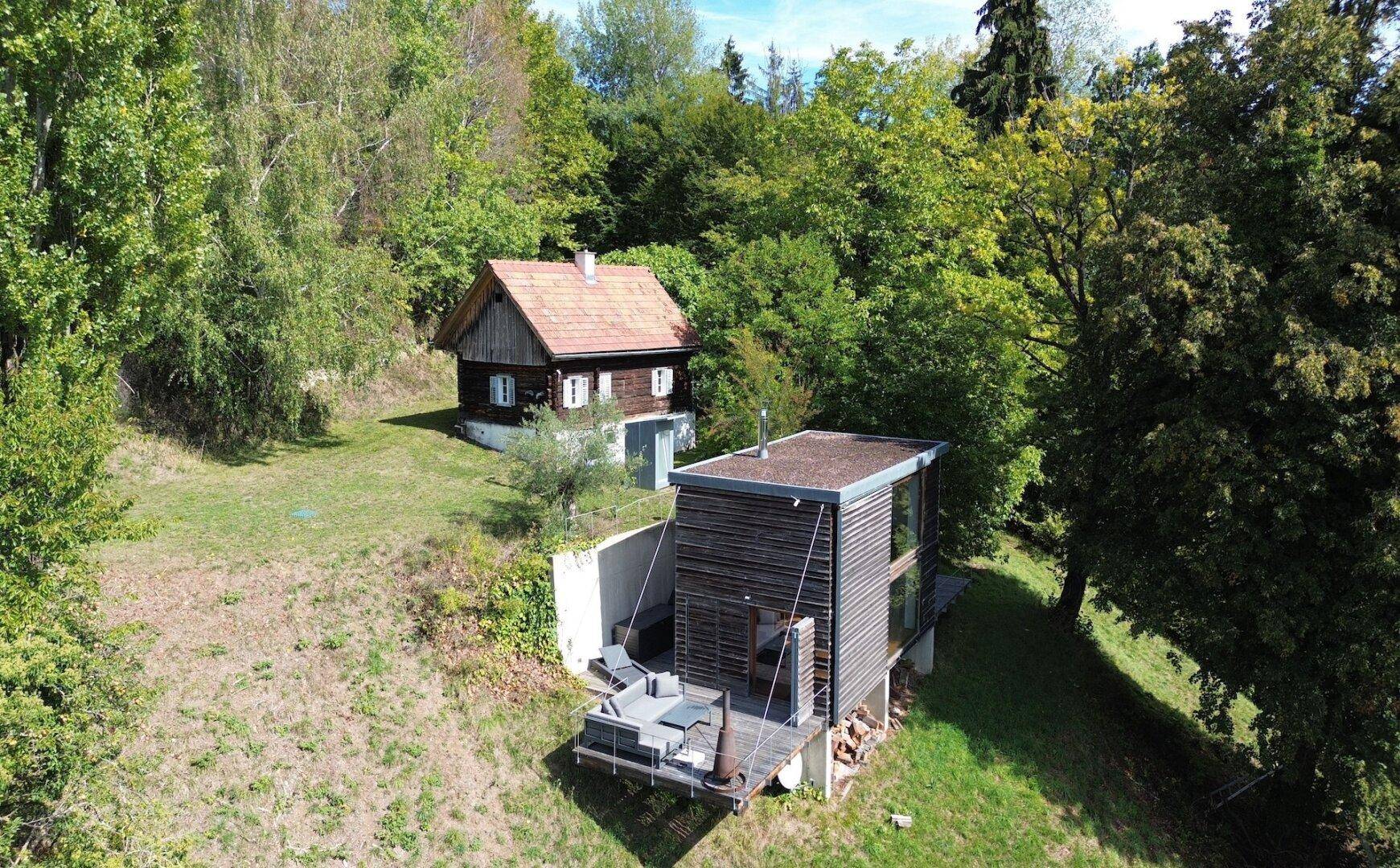 Vogelperspektive auf zwei unterschiedliche Häuser, umgeben von üppiger grüner Natur und Bäumen.