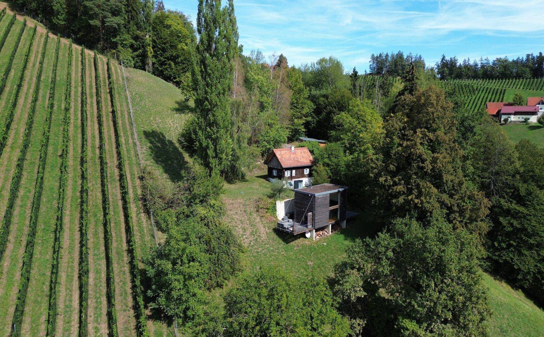 Weitläufige Luftaufnahme von zwei Häusern in einer Weinregion mit angrenzenden Weinbergen.