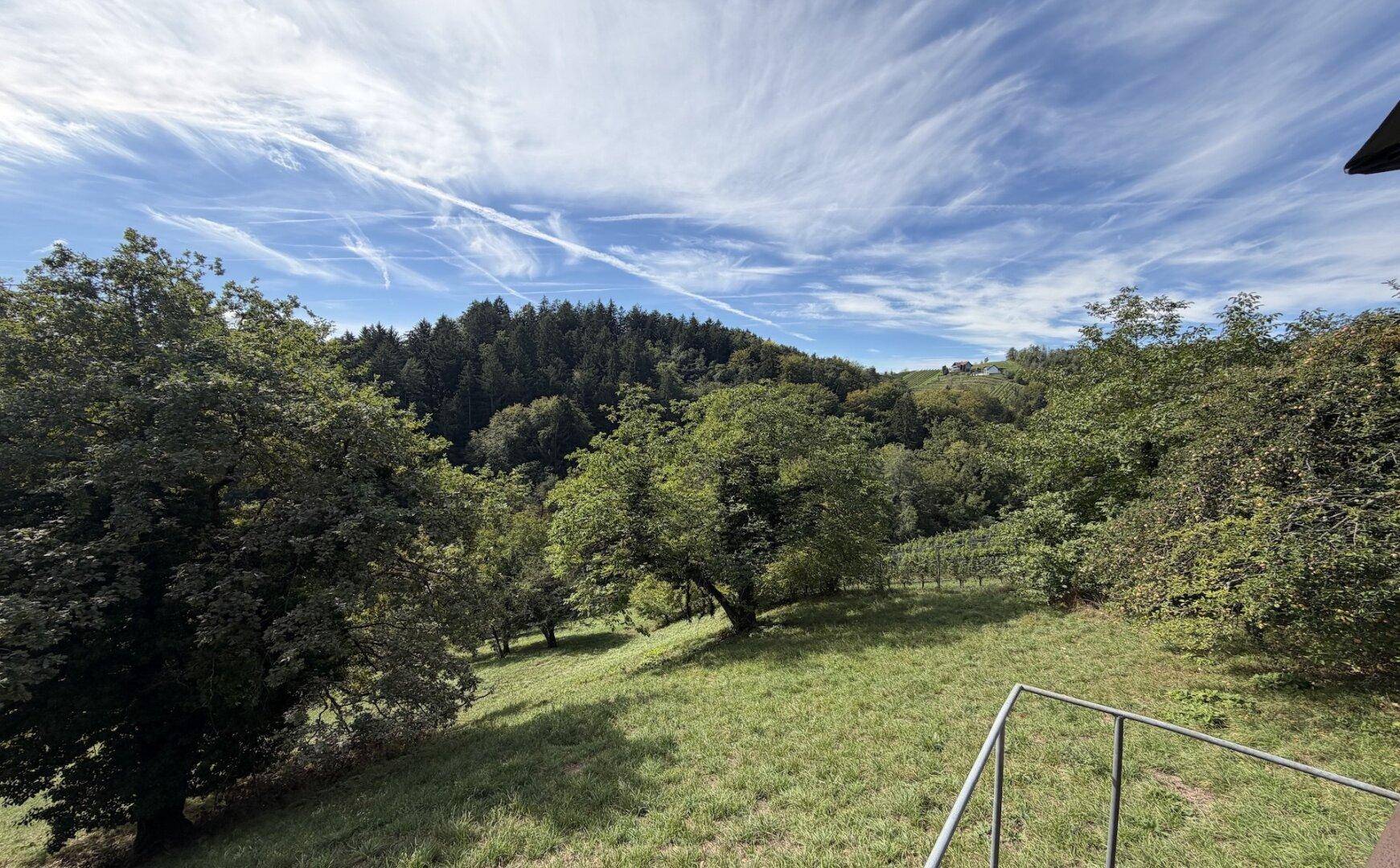 Malerische Landschaft mit grünen Wiesen, Bäumen und angrenzenden Weinbergen unter weitem Himmel.