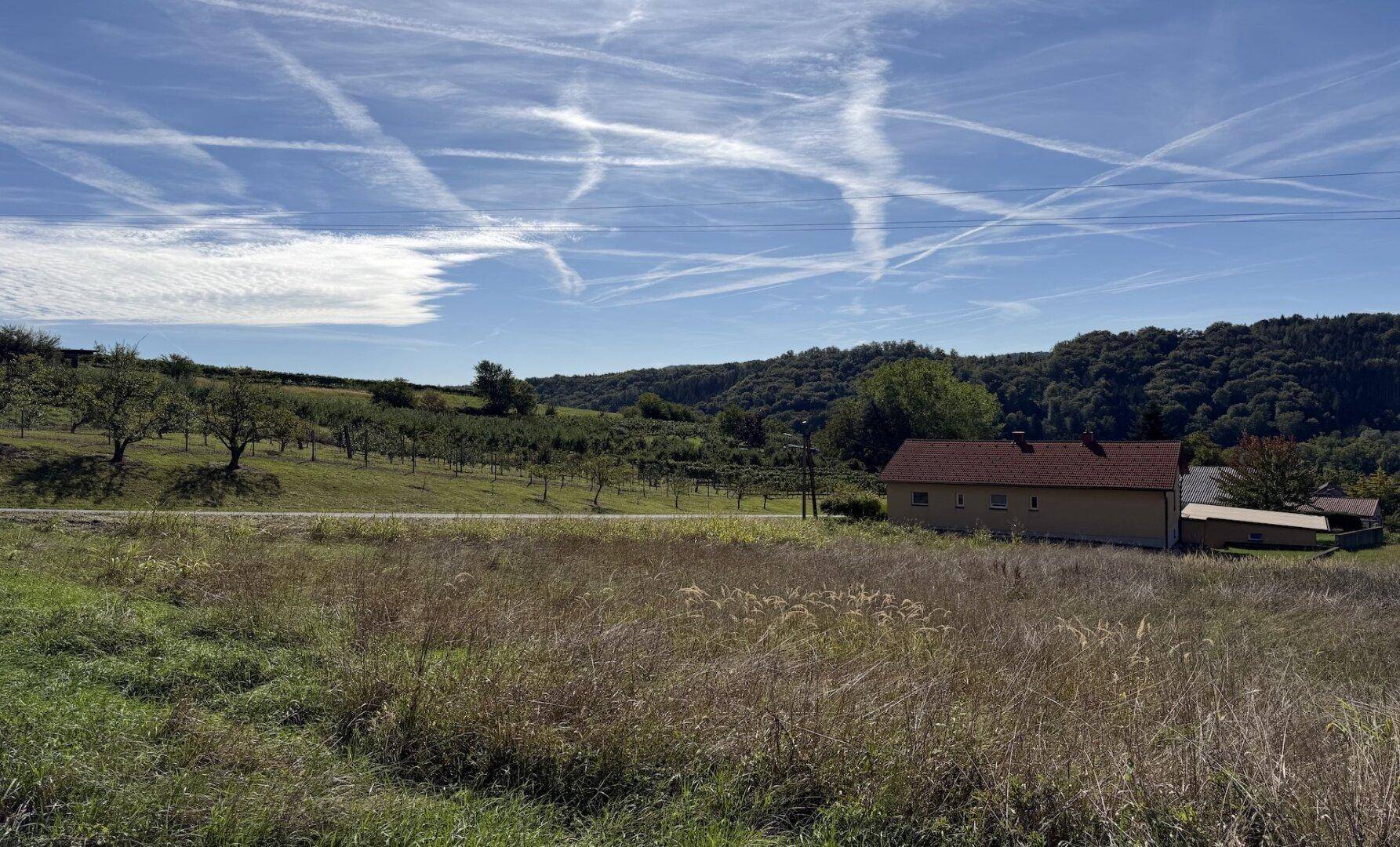 Malerische ländliche Szene mit einem Haus, Obstbäumen und Weinbergen unter einem klaren Himmel.