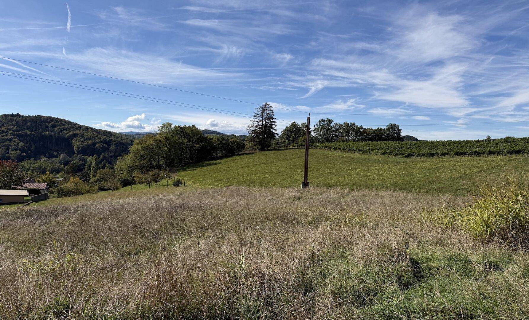 Panoramablick über grüne Hügel, Felder und Weinberge unter einem strahlend blauen Himmel.