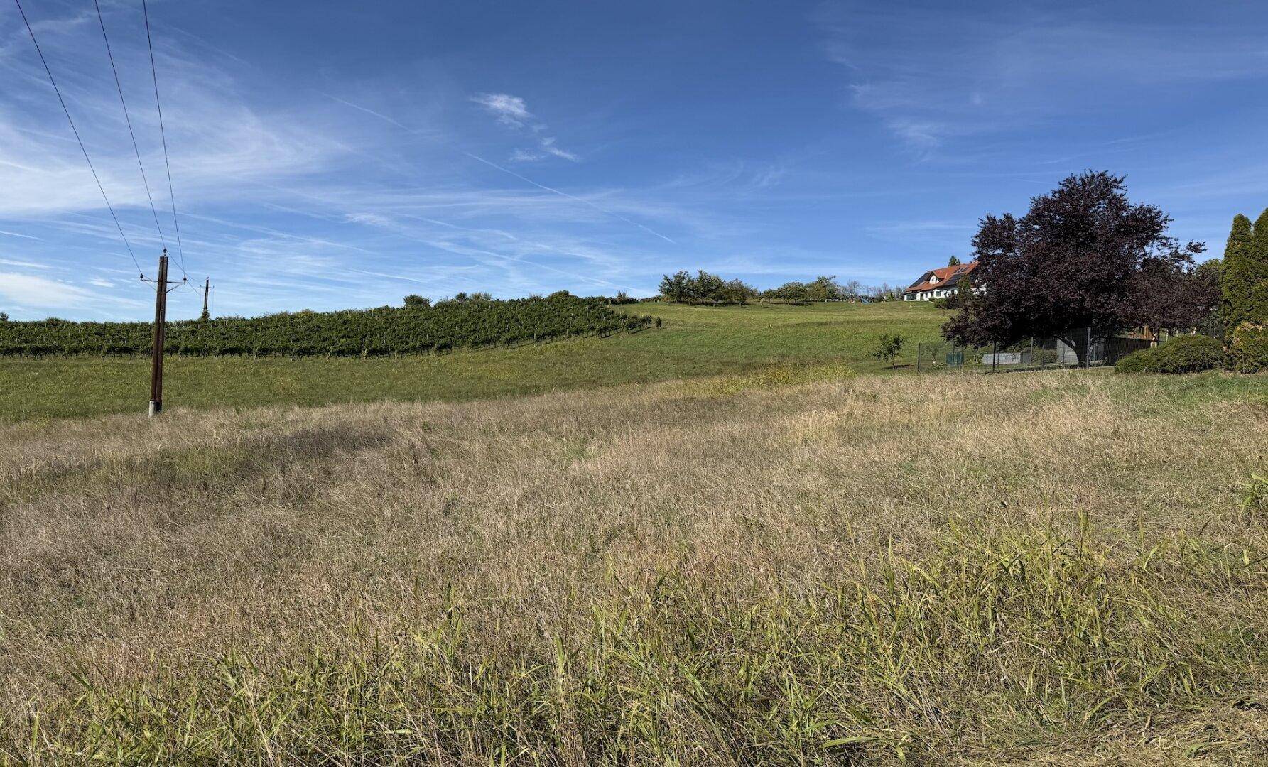 Weite Landschaft mit Feldern, einem Haus auf einem Hügel und Weinbergen in der Ferne.