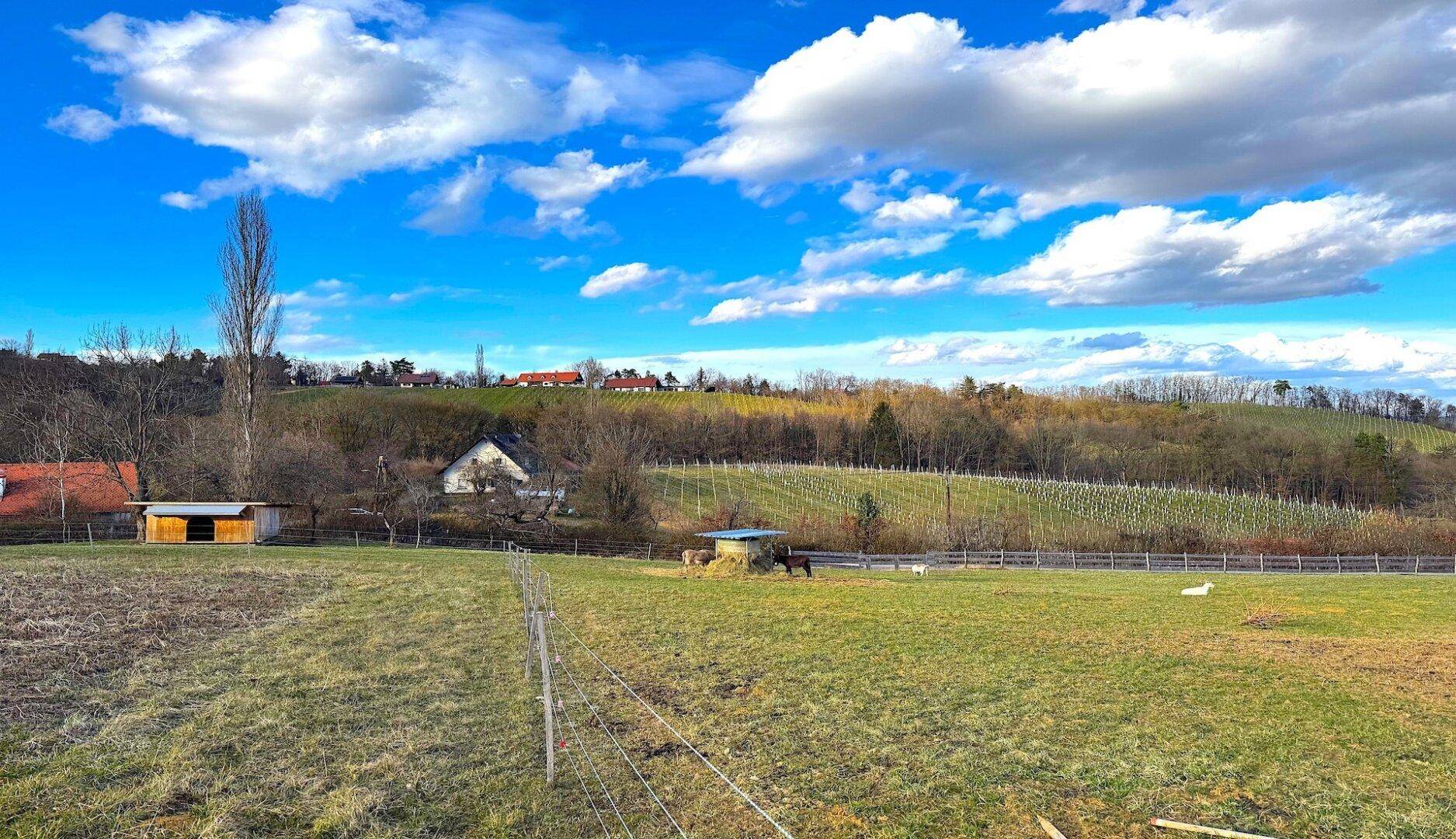 Idyllische ländliche Szene mit grünen Feldern, Bäumen und einem Bauernhof in der Ferne unter blauem Himmel.