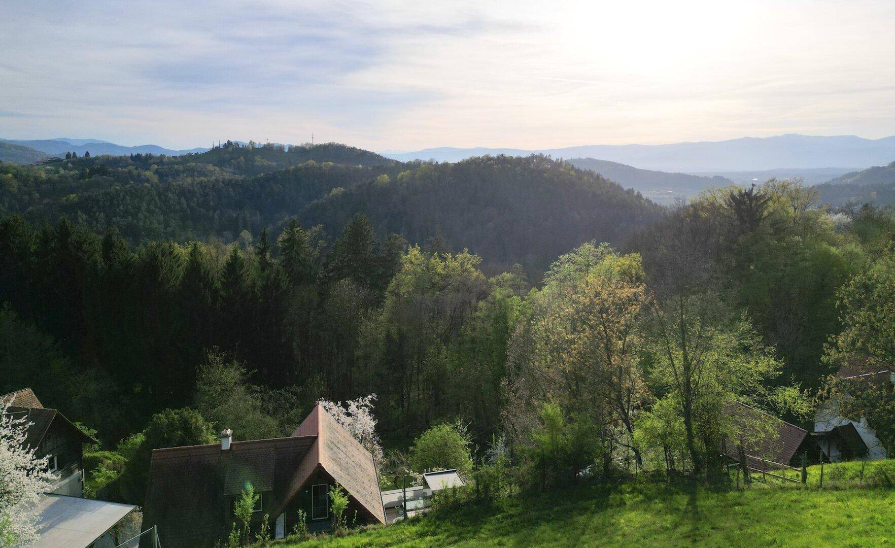 Malerischer Panoramablick über grüne Hügel, Wälder und ferne Berge in der Abendsonne.