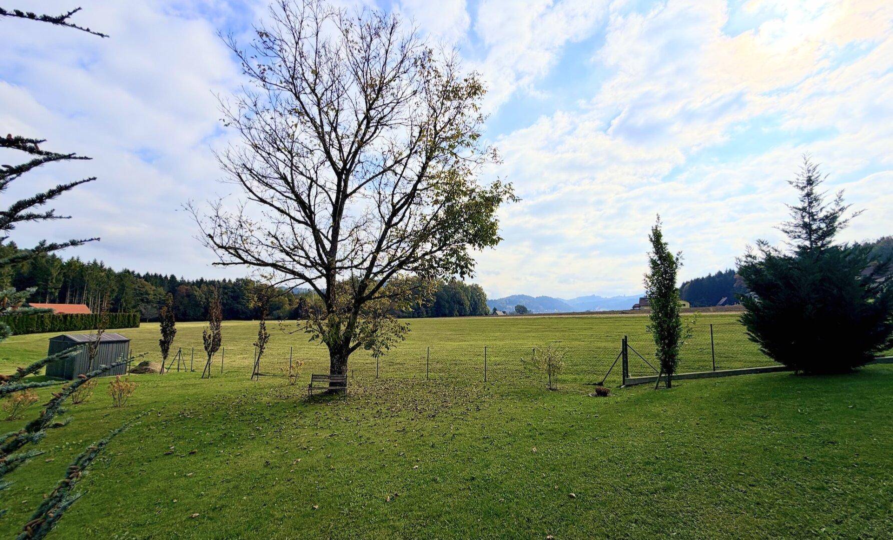 Großer Garten mit altem Baum und weitem Blick über Felder und Wälder in der Ferne.