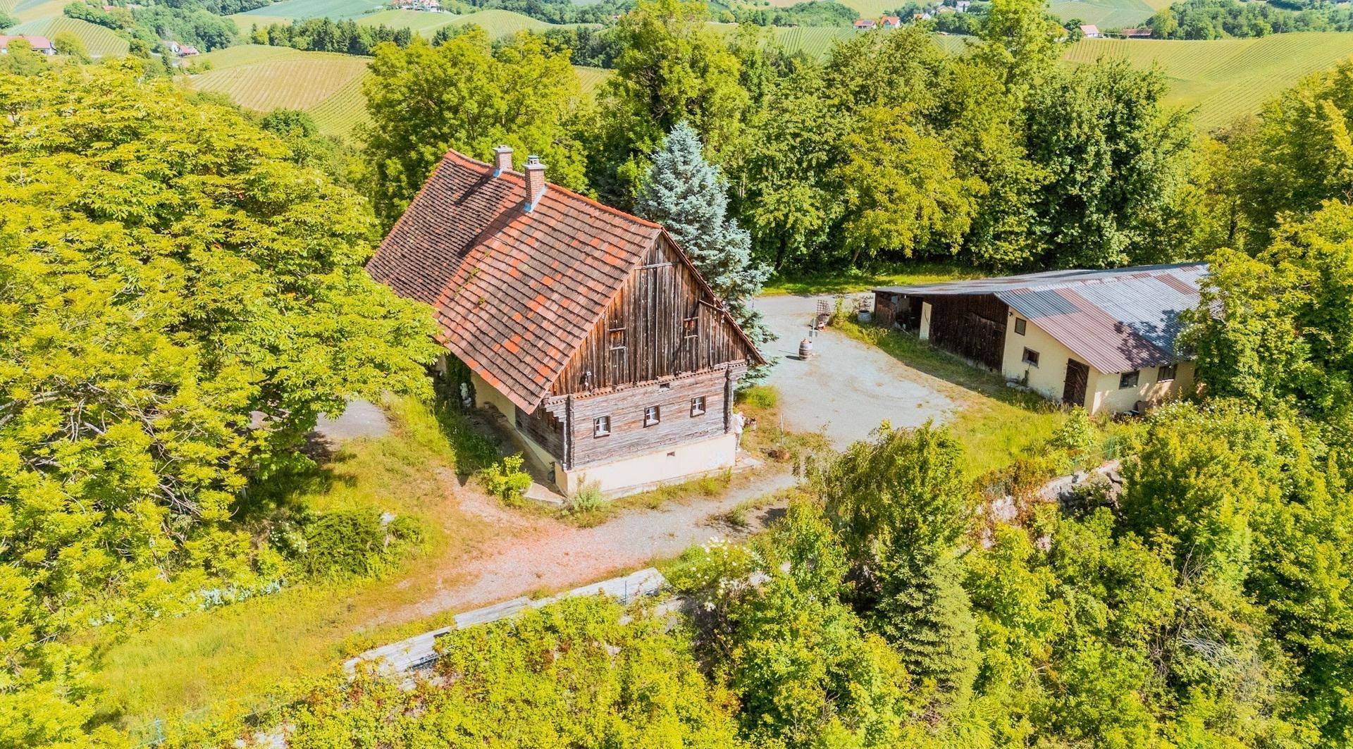 24