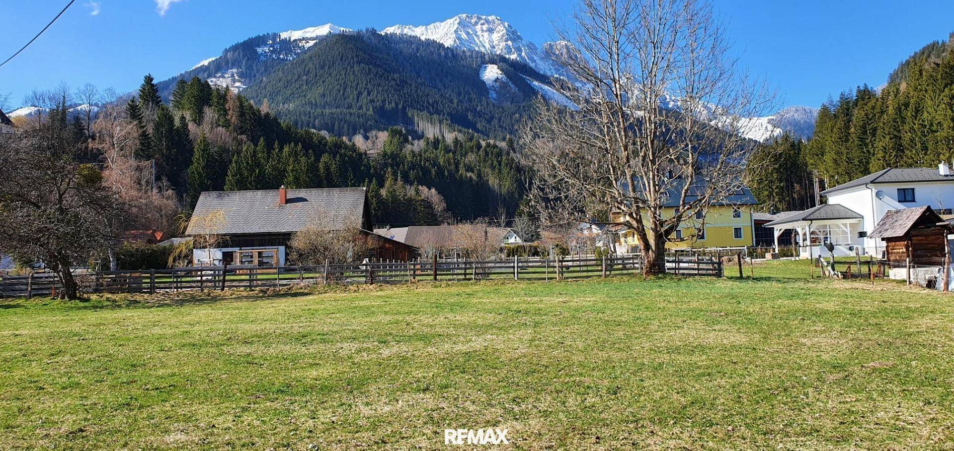 Weitläufige Grünfläche mit Blick auf die umliegende Berglandschaft und alte Bäume.