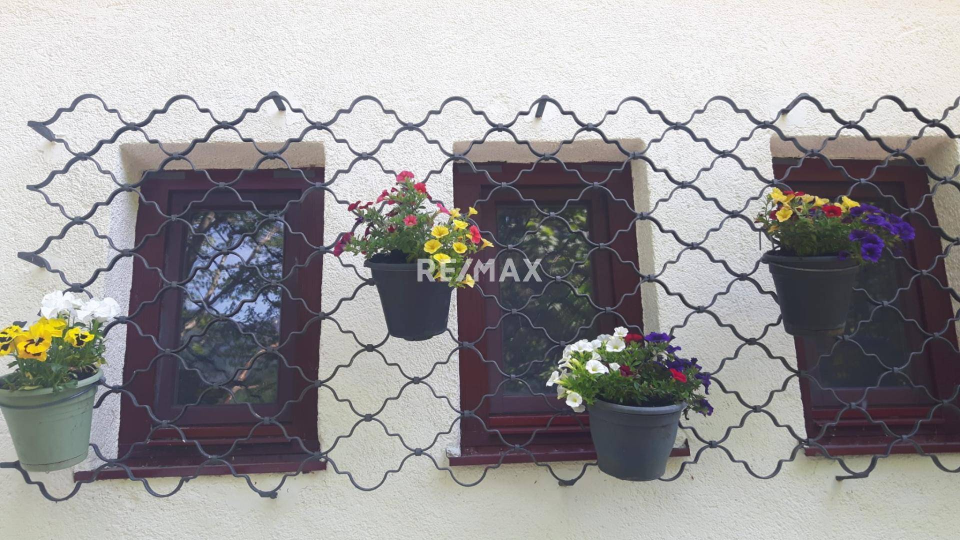 Die Umgebung