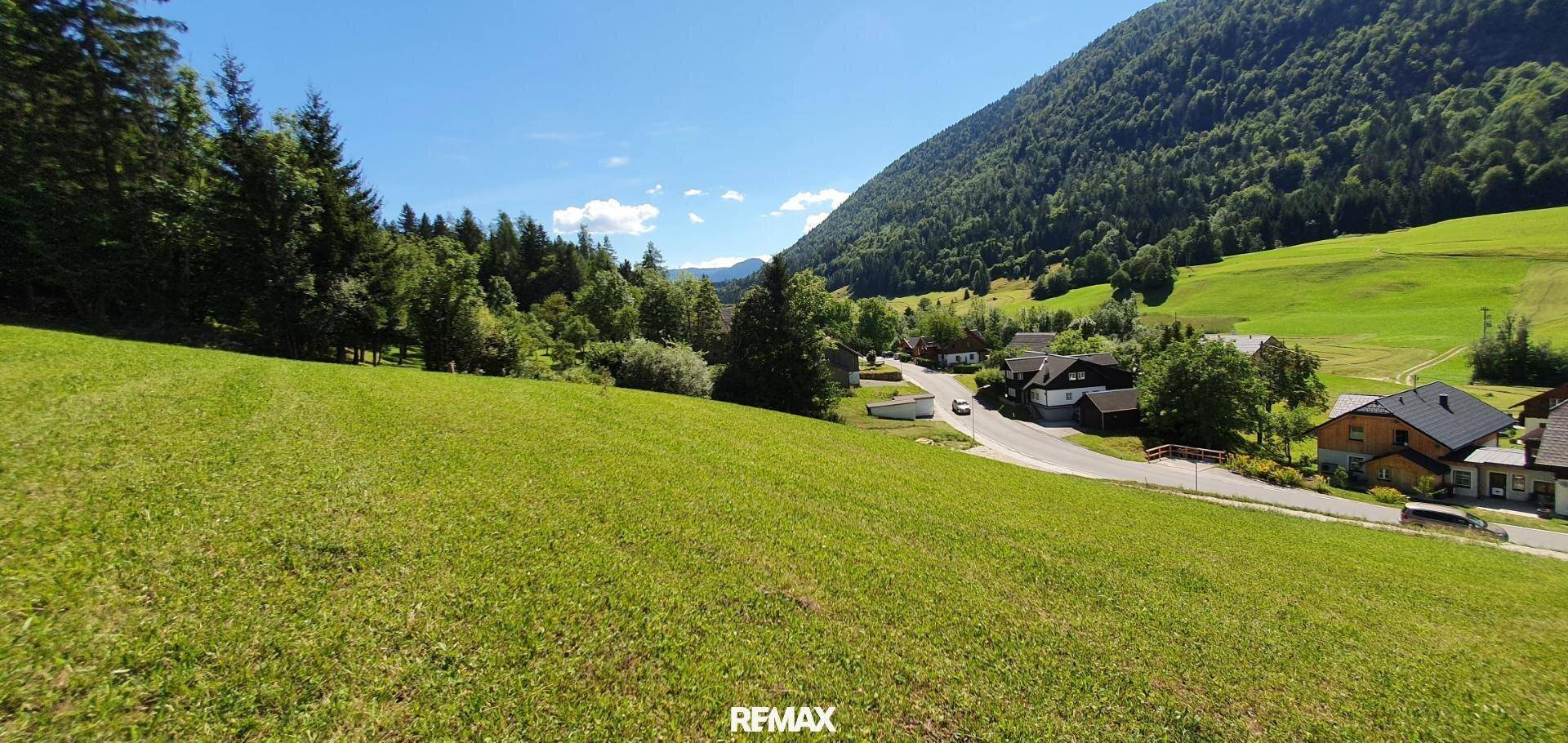 Weitläufige grüne Wiese mit Blick auf eine Straße und Häuser im Tal, umgeben von Wald.