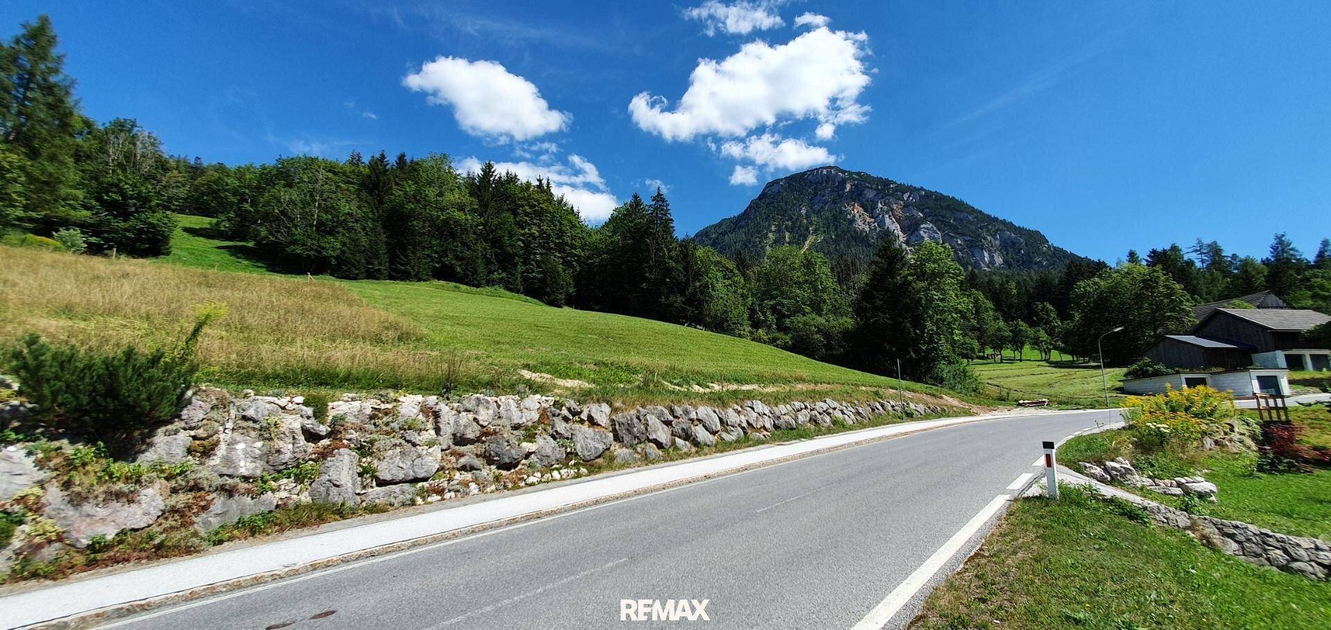 Kurvige Straße entlang eines Berghangs mit Felsen und üppiger Vegetation unter blauem Himmel.