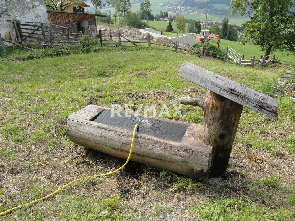 Teil des Garten