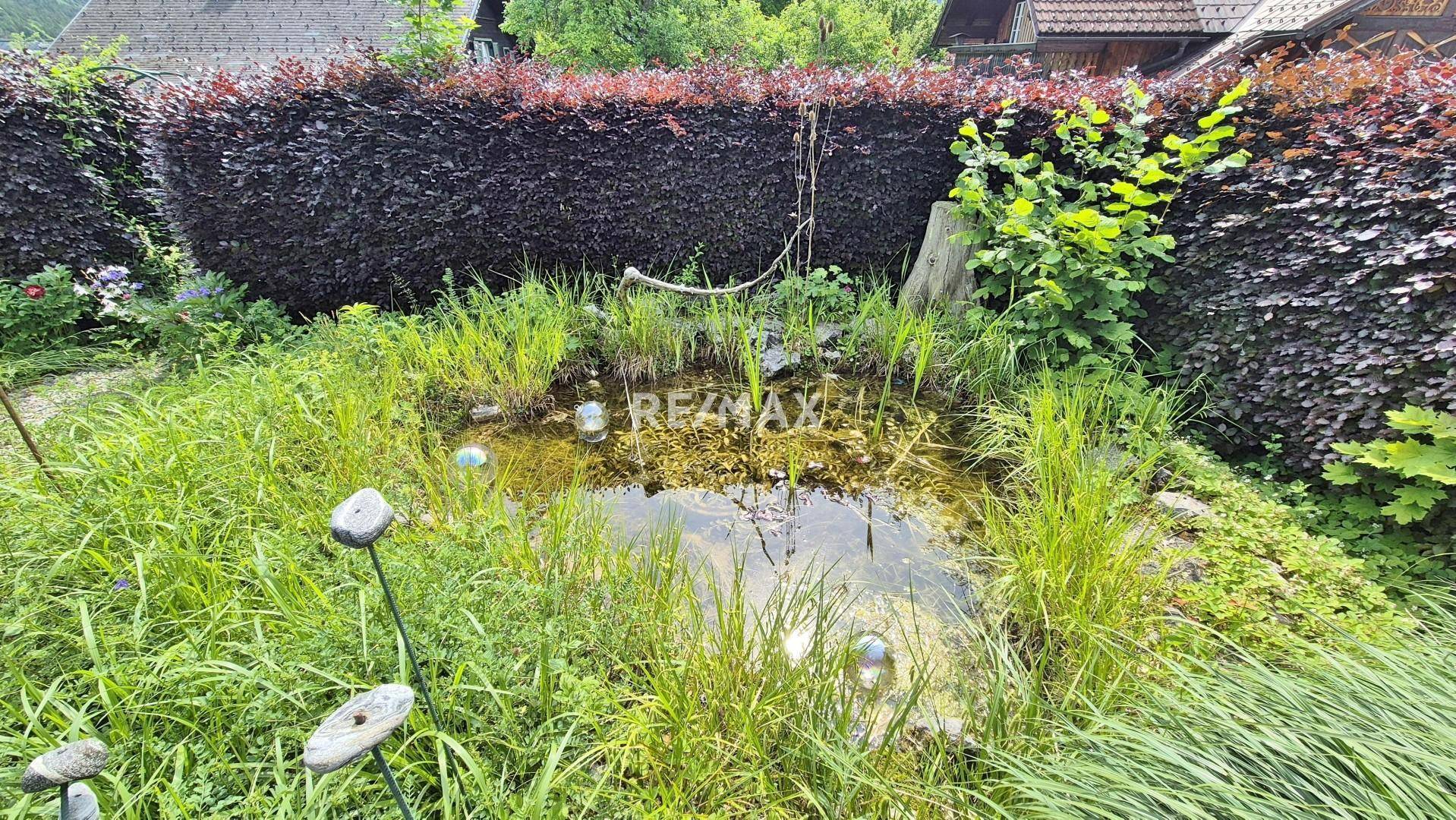 Garten Biotop