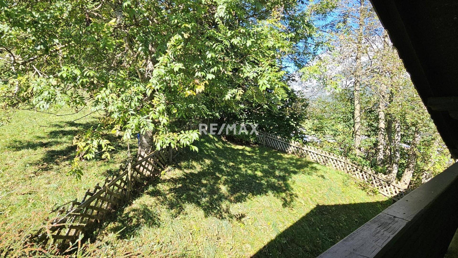 Blick auf einen eingezäunten Gartenbereich mit Bäumen und viel Grün.