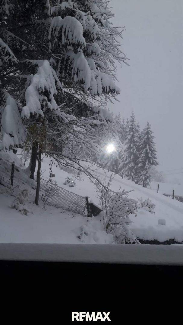 Winterliche Landschaft mit verschneiten Bäumen und einem hellen Lichtpunkt am Horizont.