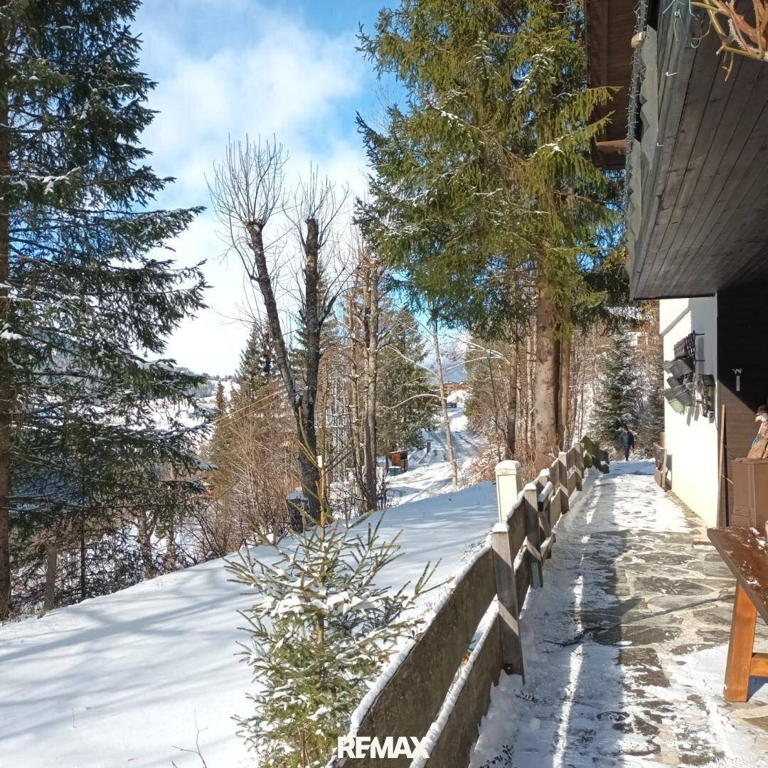 Winterliche Szene mit verschneitem Weg entlang des Hauses, umgeben von hohen Nadelbäumen und Schnee.