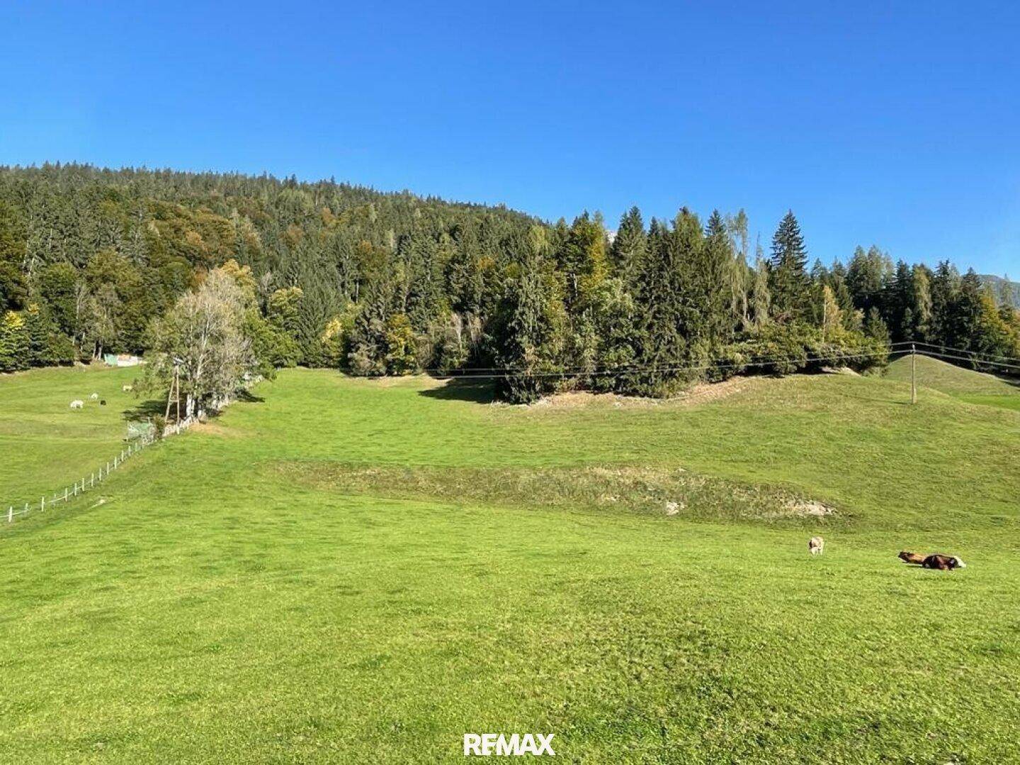 Weitläufige grüne Landschaft mit Wäldern, Wiesen und sanften Hügeln unter blauem Himmel.
