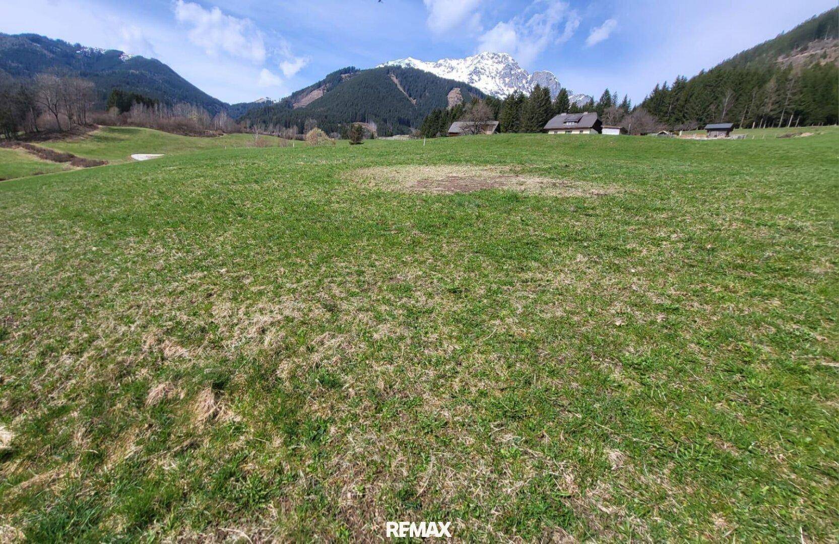 Großes grünes Feld mit Panoramablick auf die majestätischen Berge und bewaldete Hügel.