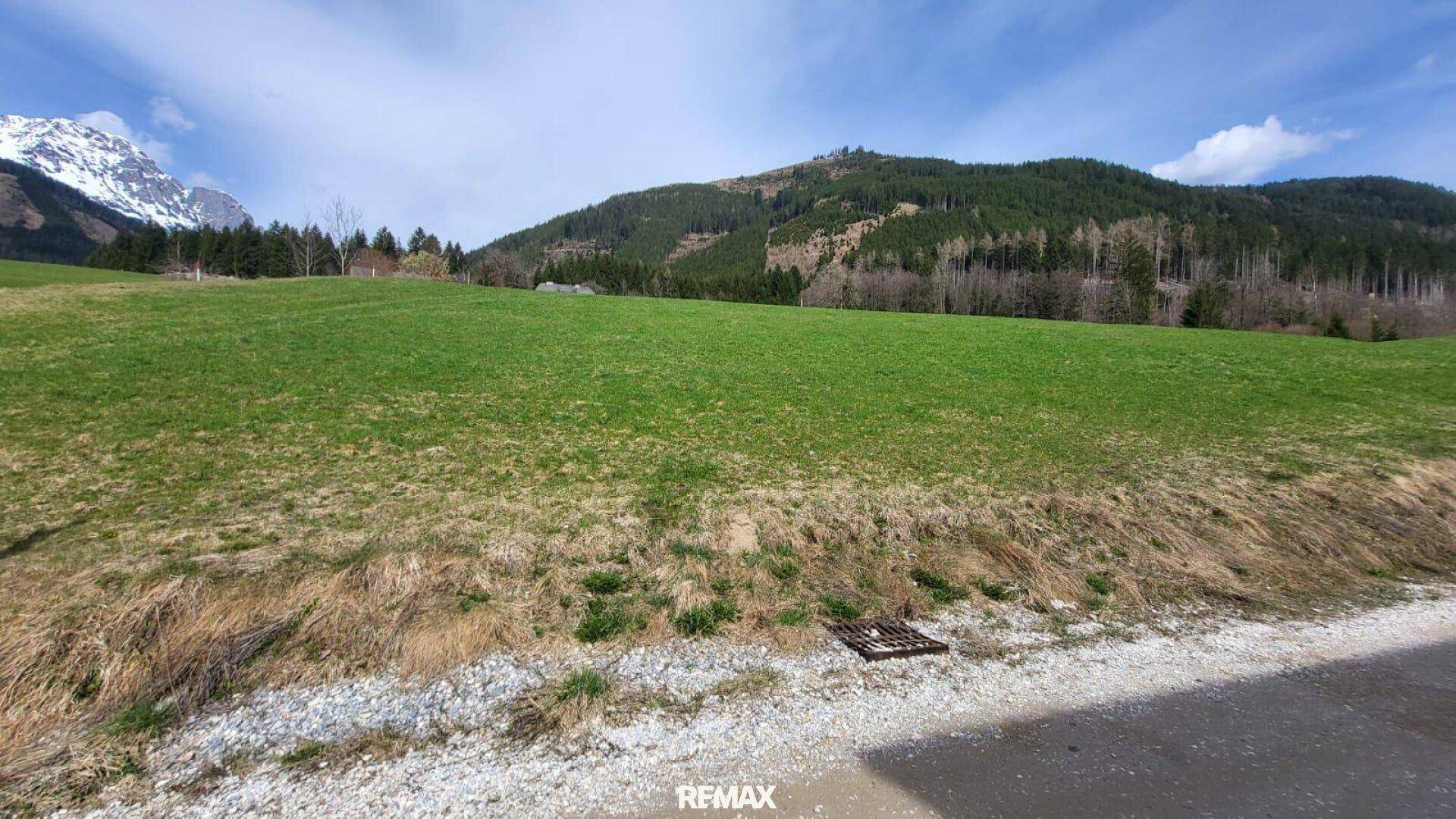 Weitläufige grüne Wiese grenzt an eine Schotterfläche mit Blick auf bewaldete Berge.