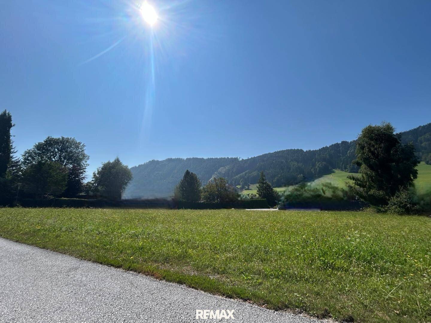 Sonnige grüne Wiese mit sanften Hügeln im Hintergrund und hellem Sonnenlicht.