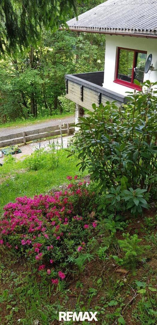 Blühender Gartenbereich mit leuchtend rosa Rhododendren und üppigem Grün, angrenzend an das Haus.