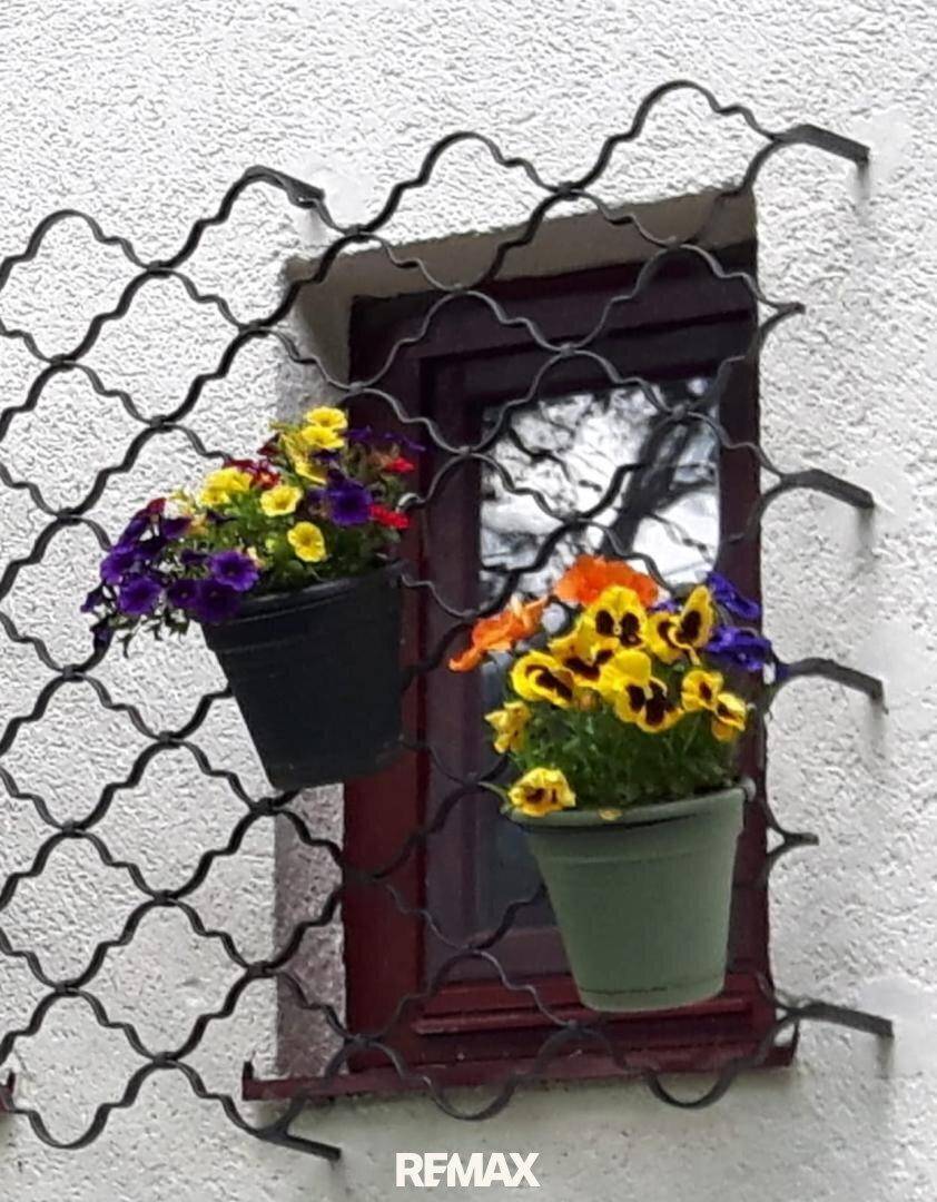 Nahaufnahme von Fenstern mit dekorativen Blumenkästen, gefüllt mit bunten Stiefmütterchen.