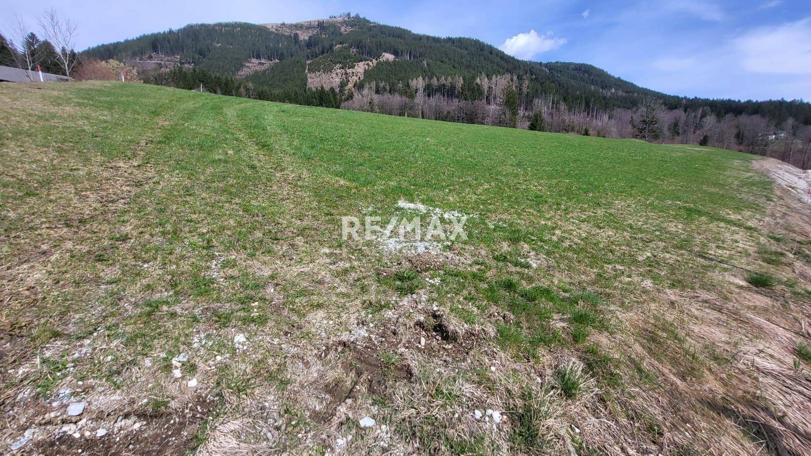 Weitläufige grüne Wiese mit leichtem Hang und bewaldetem Hügel im Hintergrund unter bewölktem Himmel.
