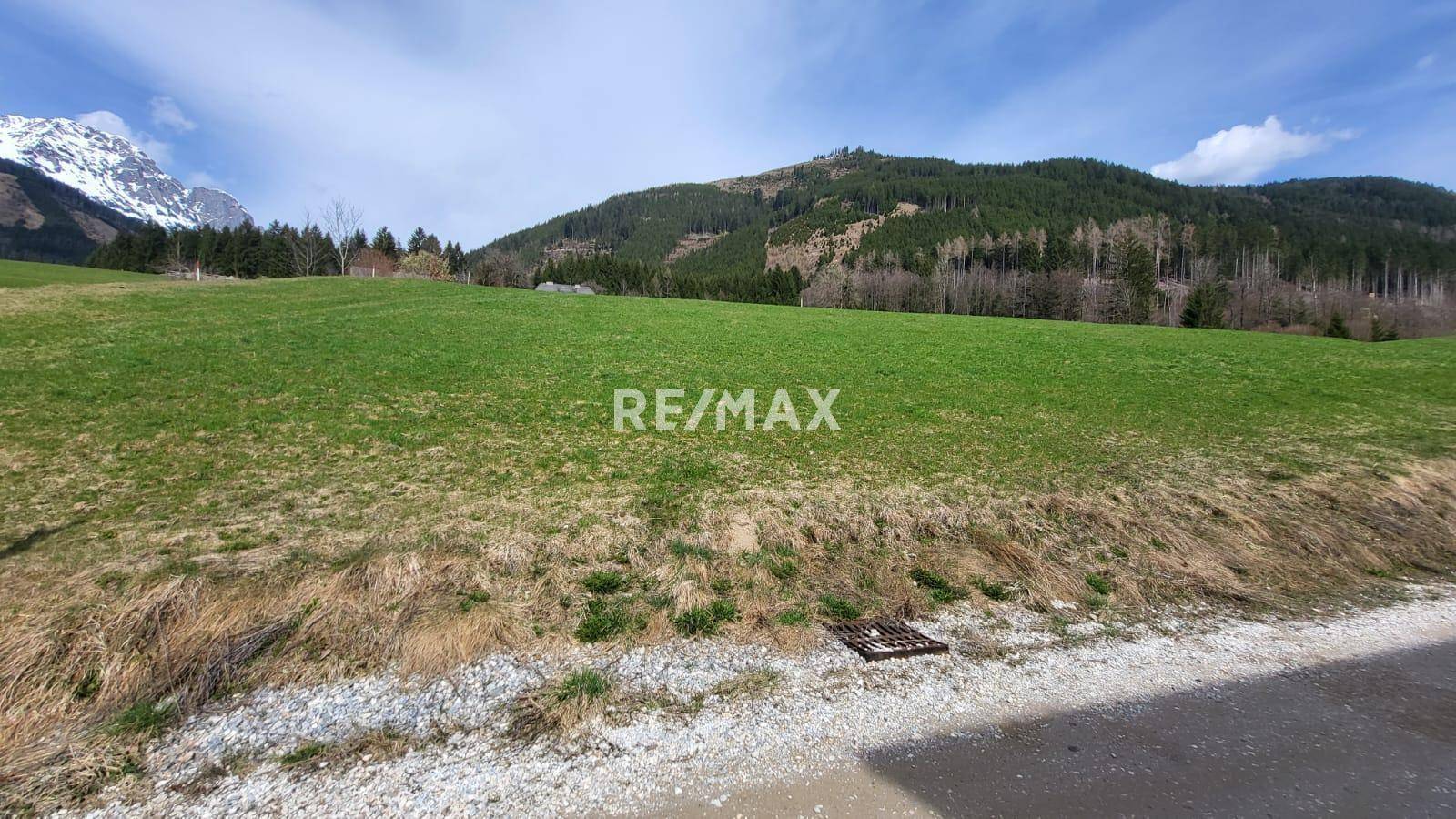 Grüne Wiesenfläche am Rande einer Straße mit bewaldeten Bergen unter blauem Himmel.
