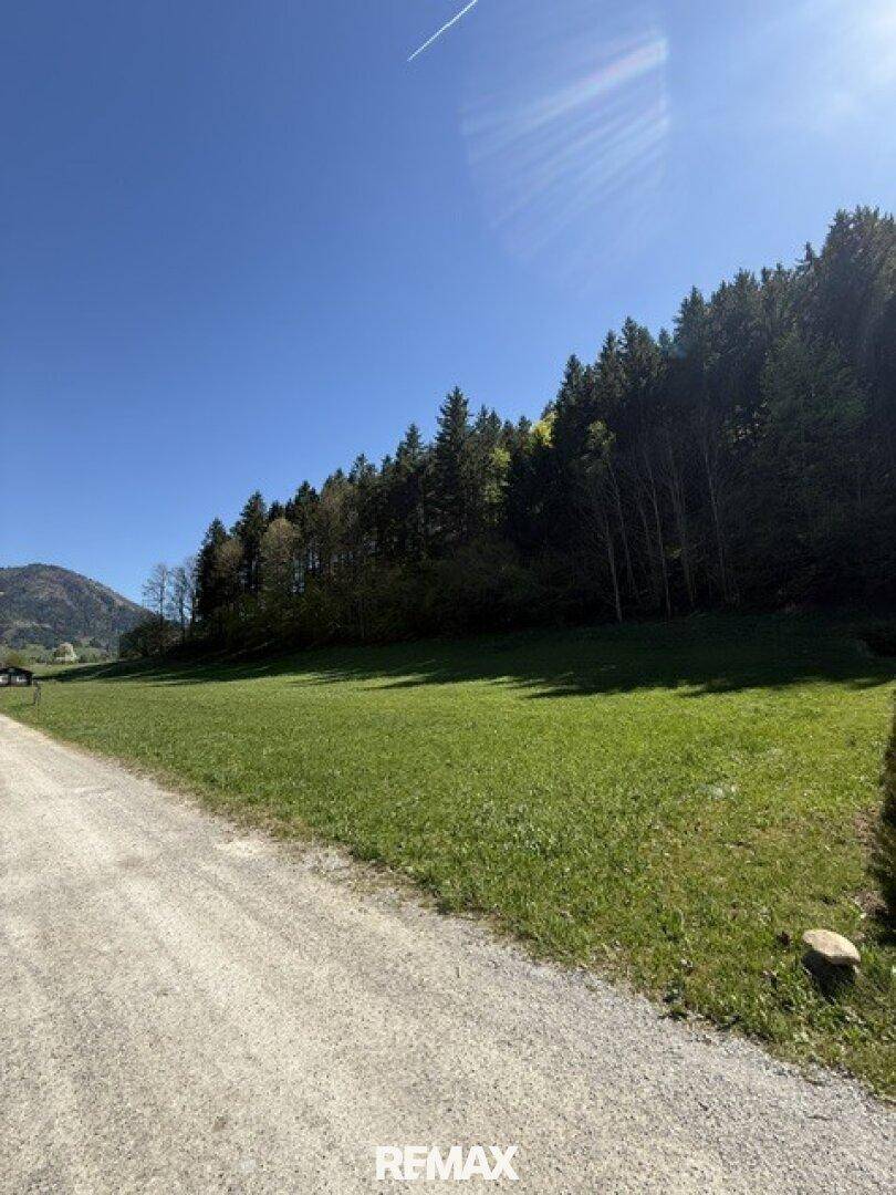 Schotterweg führt entlang einer weiten Wiese mit Blick auf den Wald und die Berge.
