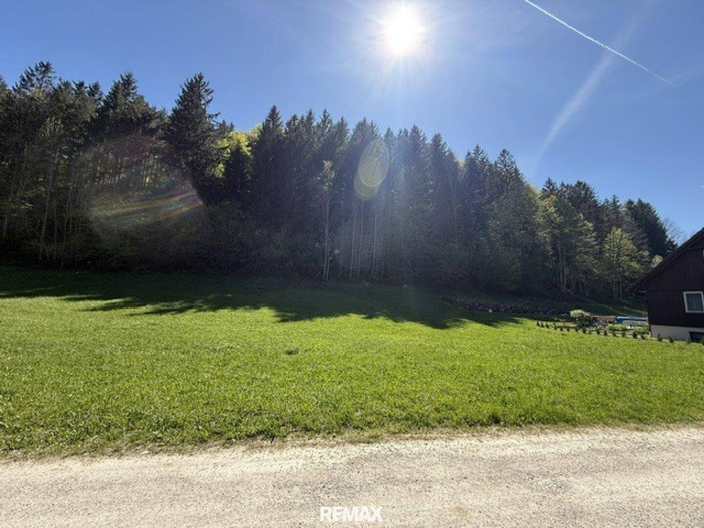 Weitläufiges grünes Feld mit Wald und einem Haus im Hintergrund unter strahlendem Sonnenschein.