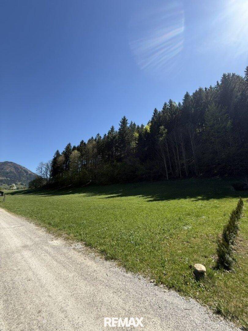 Schotterweg neben einem grünen Feld mit Wald und Bergen unter klarem blauem Himmel.