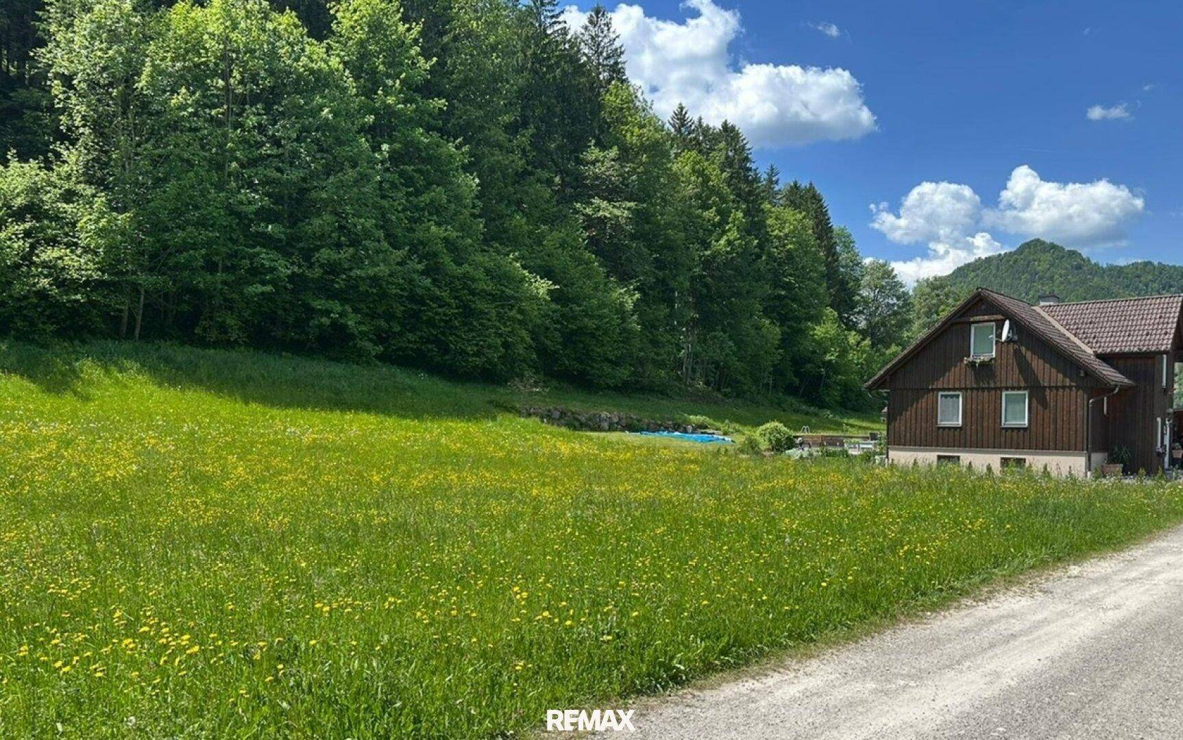 Traditionelles Holzhaus am Waldrand mit weitem Blick über grüne Wiesen und Berge, inklusive Pool.