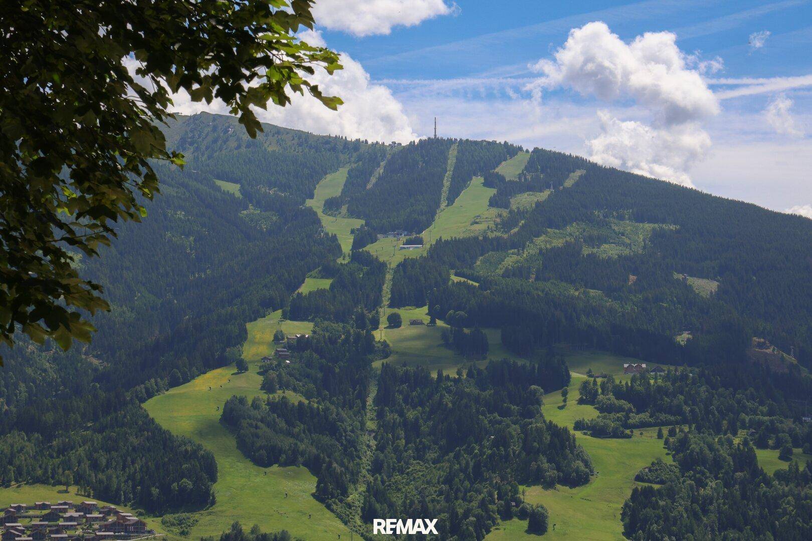 Malerischer Panoramablick auf grüne Berge mit Skipisten und dichten Wäldern.