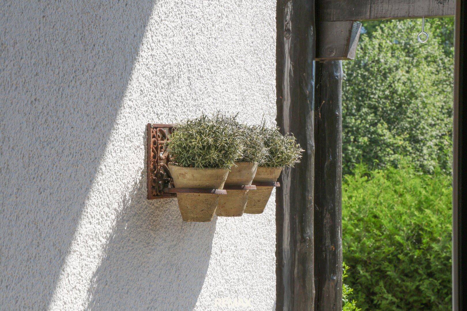 Dekorative Blumentöpfe an der weißen Hauswand, beleuchtet von der Sonne.